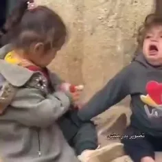 #غزه درخون