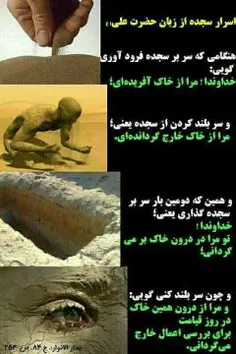 جالبه بخونین: