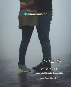 دوستت دارم♥ ️