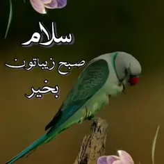 بجو آن صبح صٖادق را 