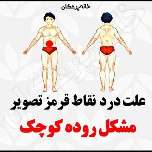 دانستنیها عکس نوشته علمی سلامت