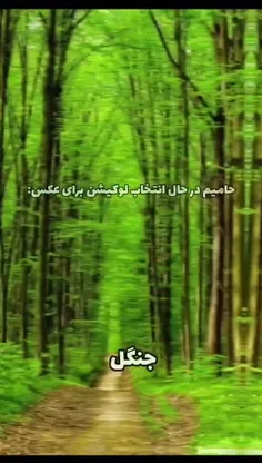 فقط اسانسور😂😂