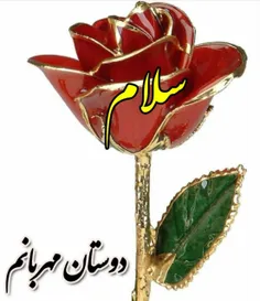 گوناگون ghazalejon 25475314