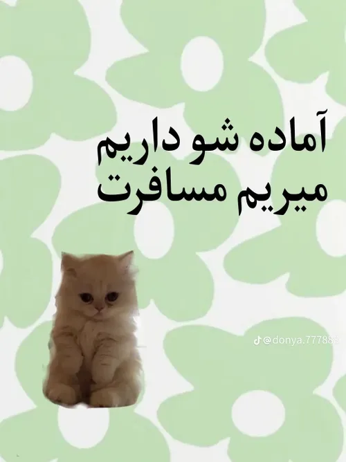 آماده شو داریم میریم مسافرت🫶🏻✨️