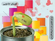 فقط و فقط 5500
