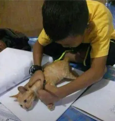 معلم بهشون گفته برید گربه رو نقاشی کنید 😂🪓