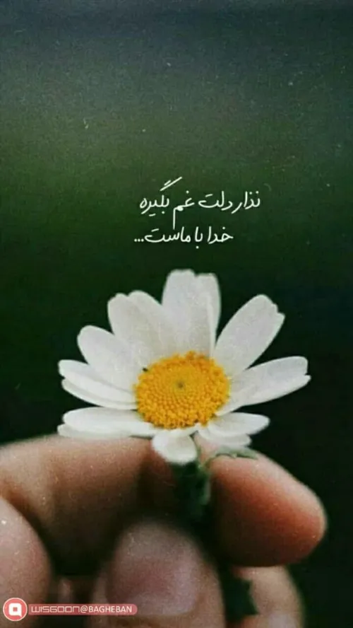 ازدواج سفید چیست