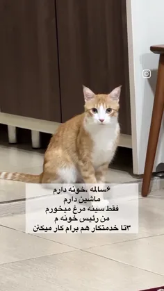 هیچی ... 🤣🤣