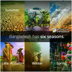 در#بنگلادش به جای#چهار_فصل#شش_فصل دارند! این فصول عبارتند