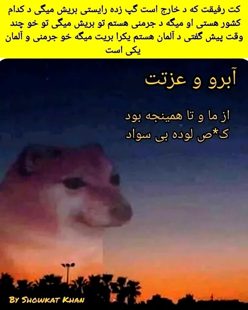 بله سواد به این چیزها نمی گن