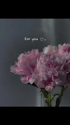 for you♡.