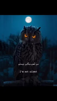 من آدم ساکت نیستم.....