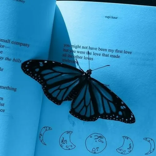 وایب ملایم آبی 💙