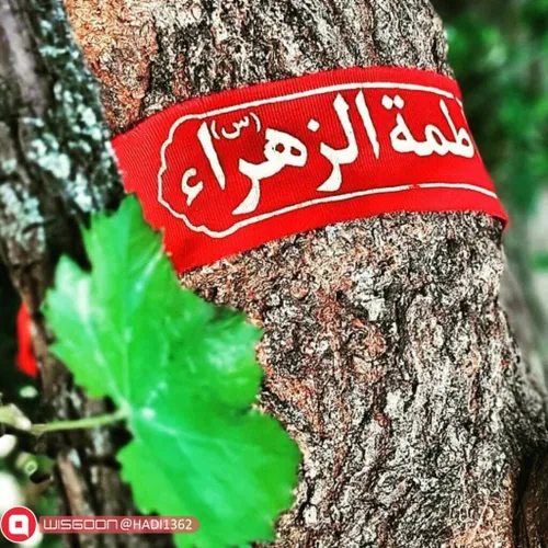 «ان الله تعالی یرضی لرضی فاطمه»