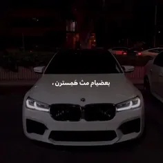 فالو فراموش نشه 