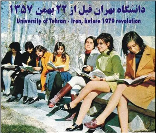 دانشگاه تهران