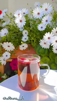 زمان حقيقت انسانها را روشن