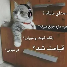 شما هم؟