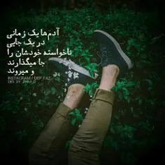 ♥ ️آدم هایـــ ساده را 