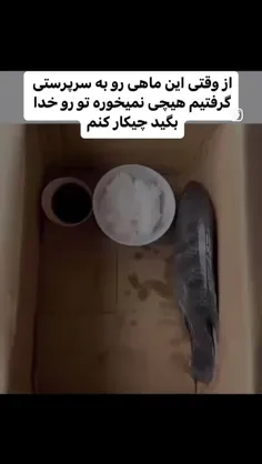 بنظرتون چرا؟؟؟ 😂😂😂