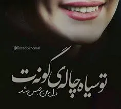 گوناگون 13781398 26430954