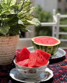 آدم دستمال کاغذی رو نمی شوره