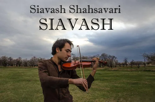 Siavash Shahsavari