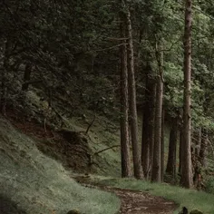از مرگ نمی‌ترسم