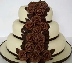 #ایده_تزئین #کیک با رزهای شکلاتی 
