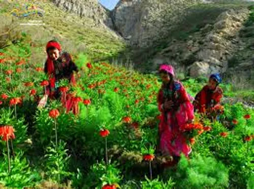 همه جای ایران من بهشت است