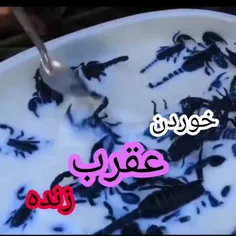 عقرب زنده  میخورن.......فالوکن