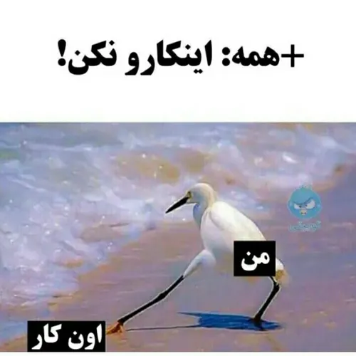 حققق😂