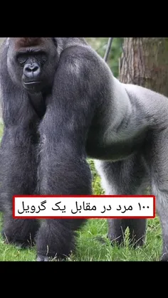 دیس به https://wisgoon.com/sigma.amir