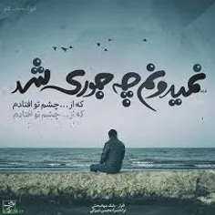 کنارم خیلی ها هستند اما دلم پیش تو آرام است🚩