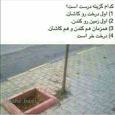طنز و کاریکاتور ahmadreza611 4138499