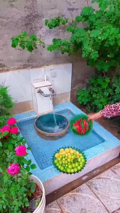 ولی ما روح زندگی را در حیاط قدیمی