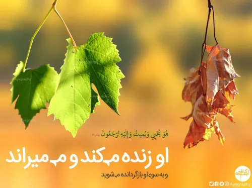 🌱او زنده می کند و می میراند🍂به سوی او برگردانده میشوید سو