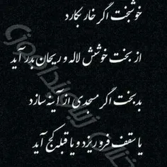 شعر و ادبیات dianm 13316526