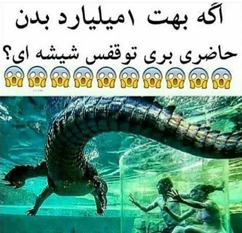 من ک عمرا برم