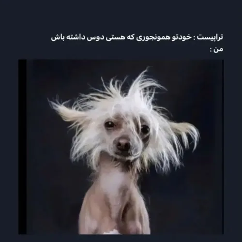 من خودم میدوستم البته با موهای صاف😂