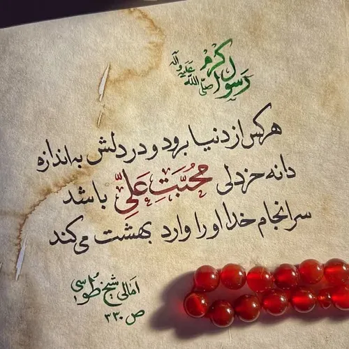 amir13611455 73848038 - عکس ویسگون