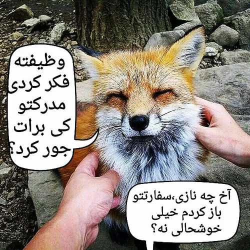 نمیدونم با چه زبونی بگم اگه کشوری مثل جیبوتی برامون طاقچه