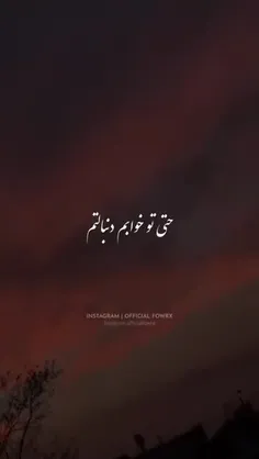 #تکست_ناب