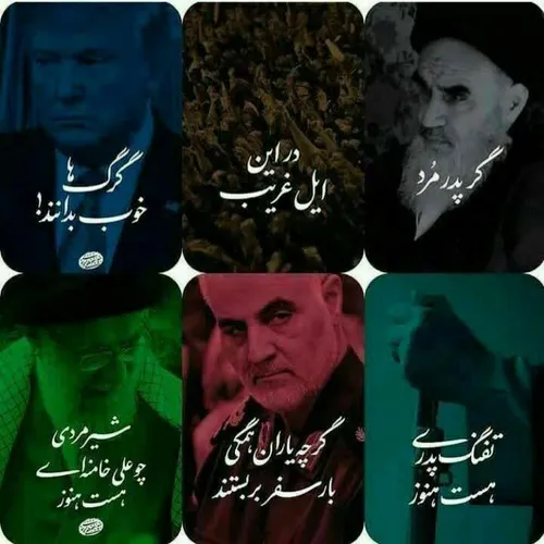 گرگ ها خوب بدانند