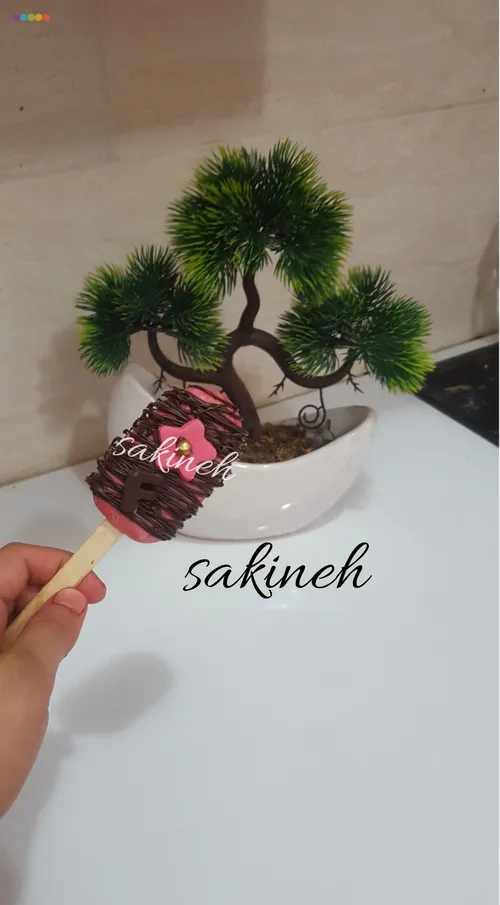 گوناگون sakineh3195 29912119 - عکس ویسگون