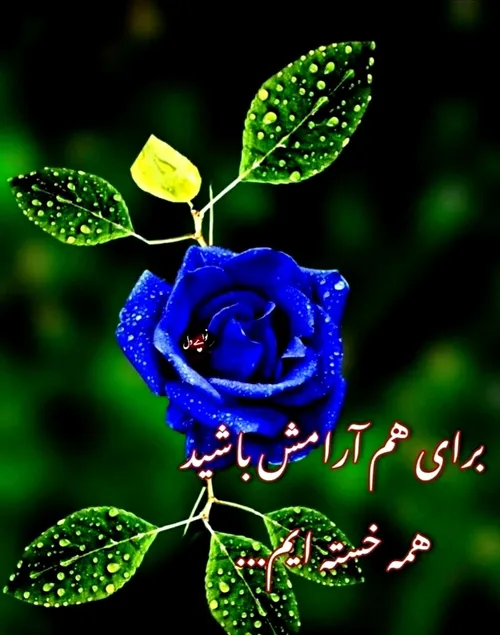  salehy1342 45829639 - عکس ویسگون