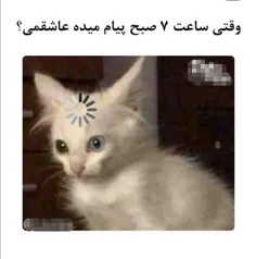 توروخدا نکنین ازین کارا😂