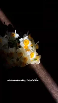 ali_m 73932792