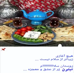 هشت پا در واقع دارای شش دست و دو پا می‌باشد. بی‌مهرگان از