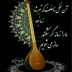 صائب تبریزی